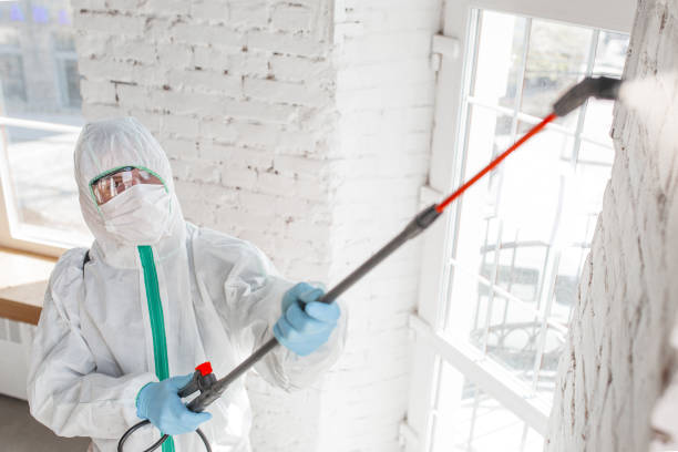 Best Biohazard Mold Removal  in Skyline Ganipa, NM