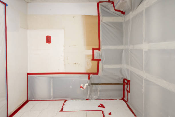 Professional Mold Removal in Skyline Ganipa, NM