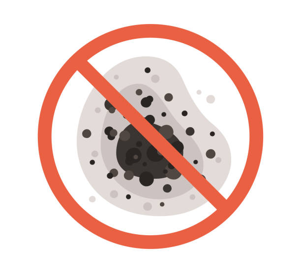 Best Mold Removal for HVAC Installations  in Skyline Ganipa, NM