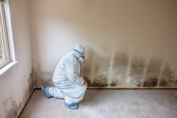 Biohazard Mold Removal in Skyline Ganipa, NM